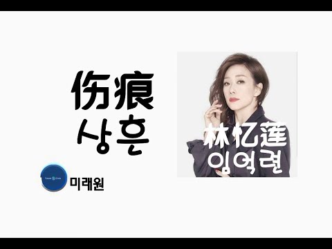 [중국노래]한글가사/해석/자막/병음 임억련(林忆莲)의 상처(伤痕 상흔)