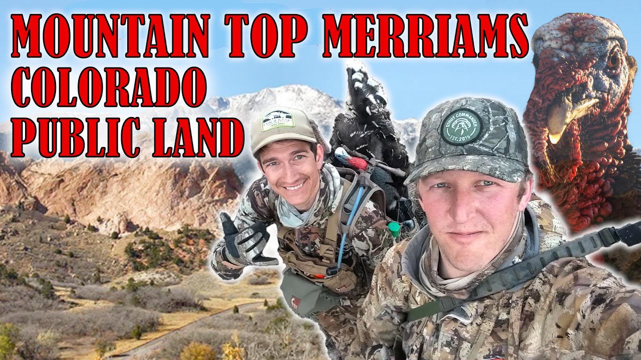 Turkey Hunting 2023: Colorado Public Land Merriam!