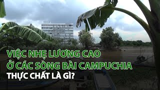 Việc nhẹ lương cao ở các Sòng Bài Campuchia thực chất là gì?| VTC14 screenshot 3