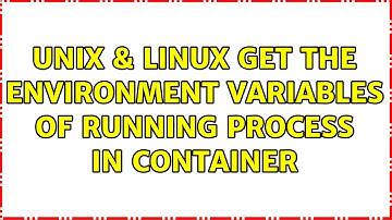 Unix & Linux: Get the environment variables of running process in container