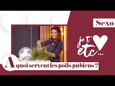 Vidéo: Perte De Poils Pubiens: Causes Et Options De Traitement