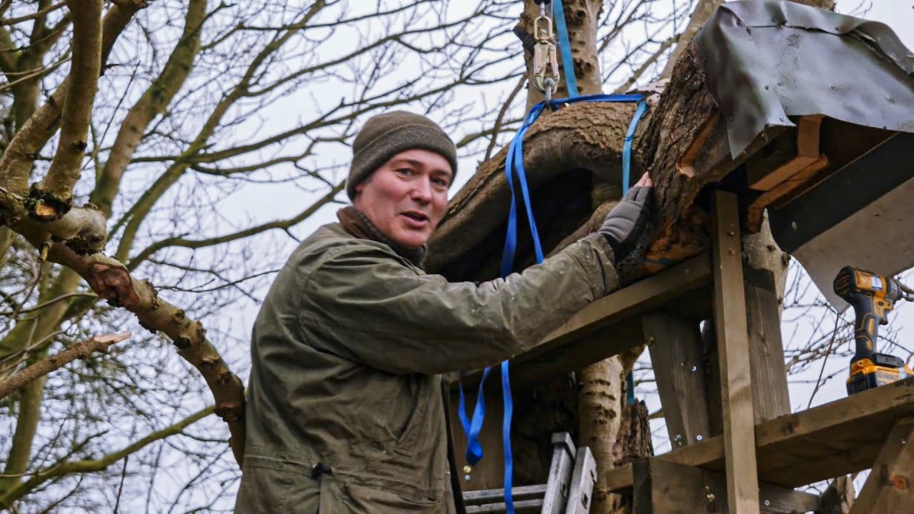 I Built Nest Boxes For Birds And Watched As They Moved In | Wildlife Conservation | Robert E Fuller