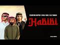 Habibi SCARPIAN Ft Walionthebeat AlyManjh Official Visualizer New Urdu Rap Song mp3