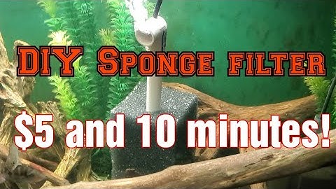Cheap and easy aquarium sponge filter [DIY How To]