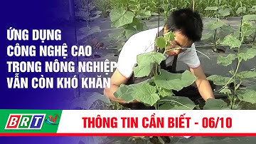 Ứng dụng công nghệ cao trong nông nghiệp vẫn còn khó khăn | BRT TV