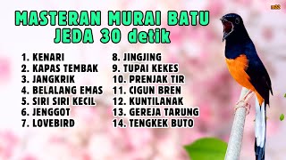 🔴 MASTERAN MURAI BATU GACOR FULL ISIAN TERBAIK JEDA 30 DETIK SEPERTI BURUNG HIDUP || 887