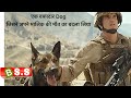 A Story Of DOG Max Movie Review/Plot In Hindi &amp; Urdu