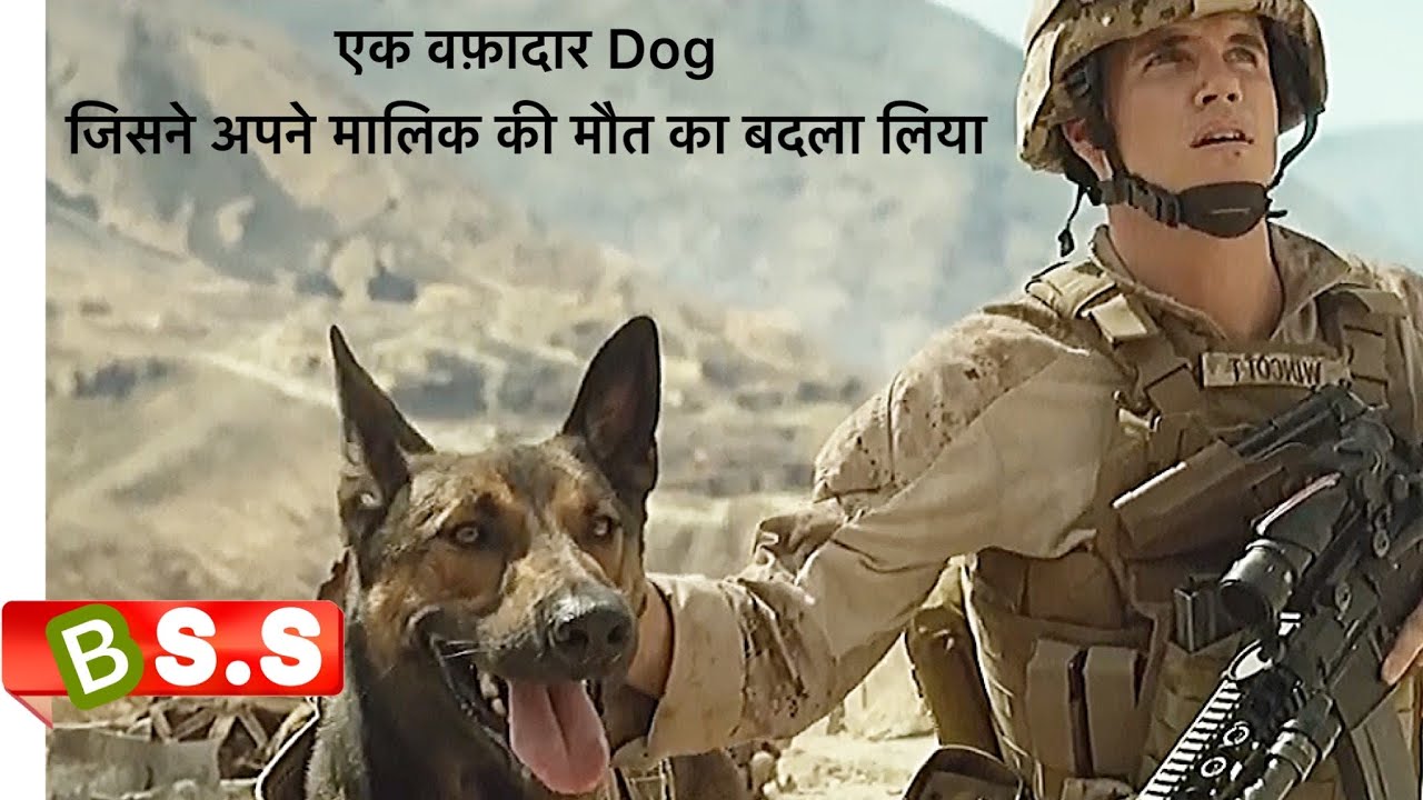 A Story Of DOG Max Movie Review/Plot In Hindi & Urdu - Uohere