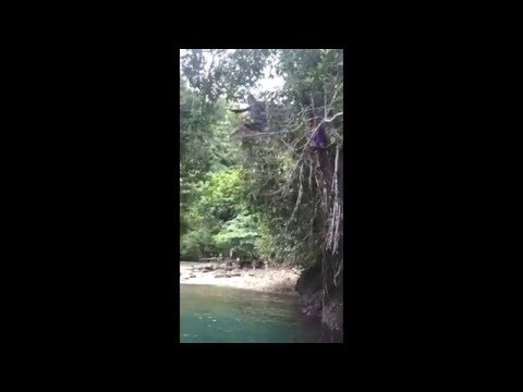 tendangan dari langit - YouTube