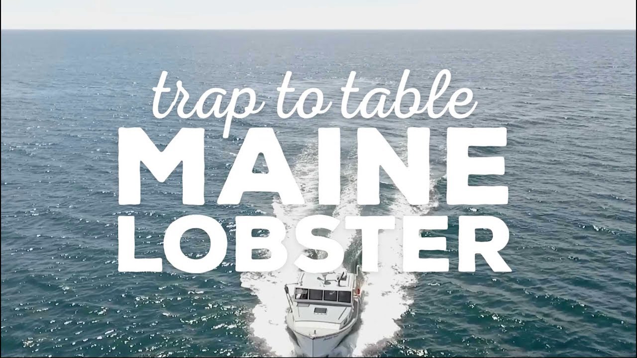 Trap to Table: The Series