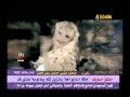 اليسا بطرس ليش ملاحقني.mp4