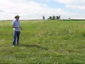 Improving Forage Production and Quality with Native Legumes Improving Forage Production and Quality with Native Legumes