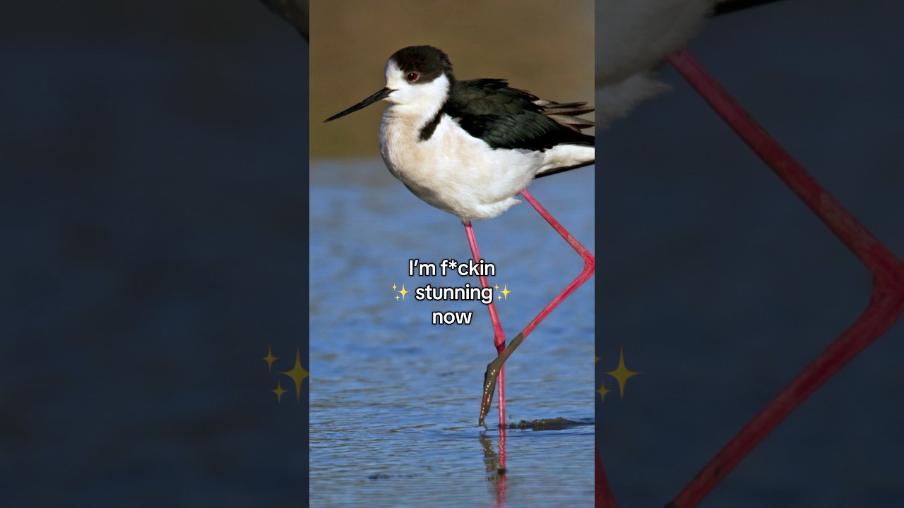 honestly the DIVA💅🏼 