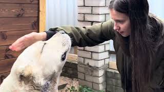 картинка: МАРШАЛ СЛЕТЕЛ С КАТУШЕК 😱