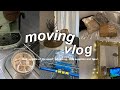 moving vlog ep2 // update de l'appart, ikea & déco ☕️