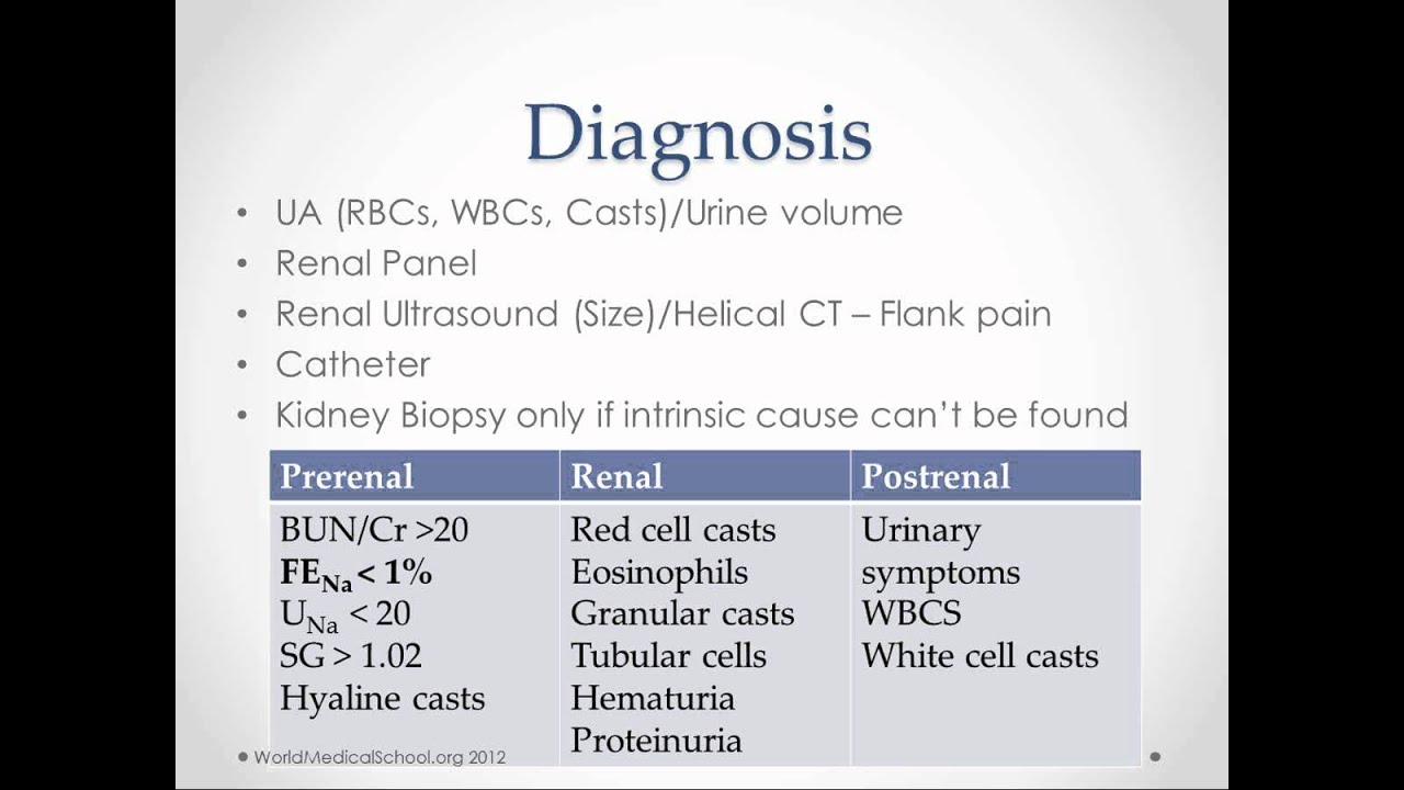 Acute Renal Failure USMLE Step 2 Review Consumers For Health Choice