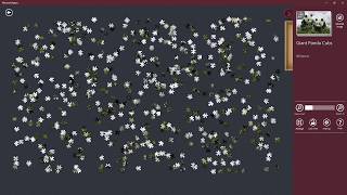 Jigsaw Puzzle ǀ Collection: Pandas ǀ Giant Panda Cubs screenshot 5