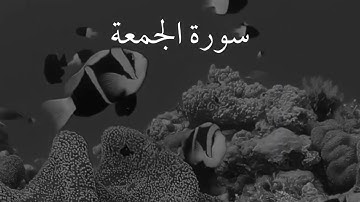 سورة الجمعة برواية حفص عن عاصم بصوت القارئ الشيخ فضيلة الإمام محمد رشاد الشريف رحمه الله تعالى