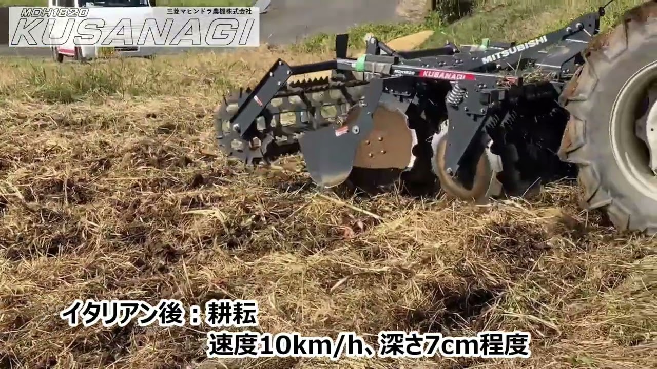 2023 10 Выращивание в КУСАНАГИ (Кубокава, Коти, Сикоку)