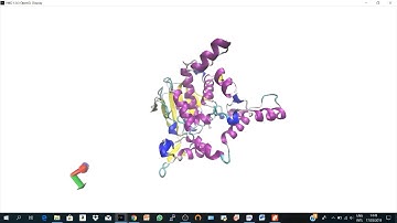 Graphical representations of proteins in  VMD