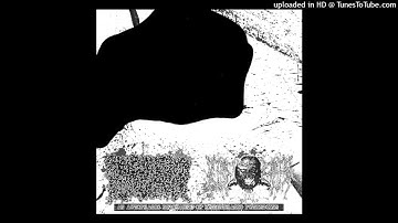 Sulfurized Purulence / SxVxFxTxSxTx - "AN AUTOPHAGIC DISCHARGE OF HEMORRHAGIC PUTRESCINE" Full Split