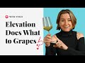 How elevation affects grape varieties ep 39 wine folly