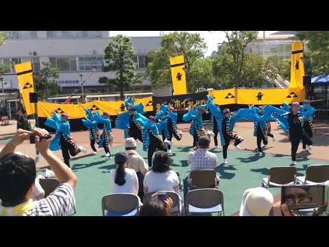 聯坊童子2019結・えっさホイinダイナシティ