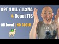 Local chatgpt chatbot talk with llamagpt4all  coqui tts   install tutorial