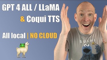 Local „ChatGPT“ Chatbot talk with LLaMA/GPT4ALL + Coqui TTS 🤯 | Install Tutorial