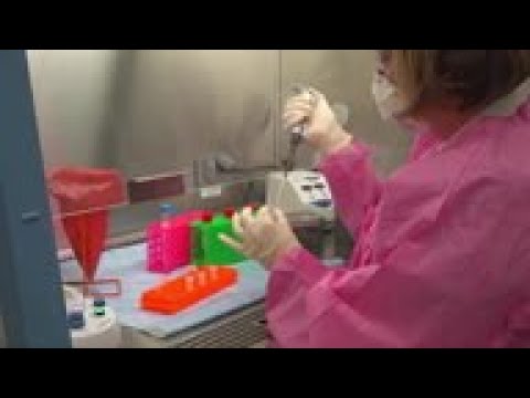 Michigan at risk of running out of coronavirus test kits after 2 positive ...