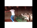 شطحه اغنيه زايد الصالح البنات ٢٠١٥ شطحه اغنيه زايد الصالح البنات ٢٠١٥