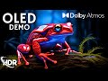 Ultimate OLED Experience: HDR, 120FPS Performance! (4K/8K TV)