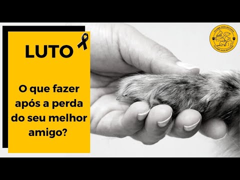 Vídeo: Dizer adeus a um companheiro amado do animal de estimação