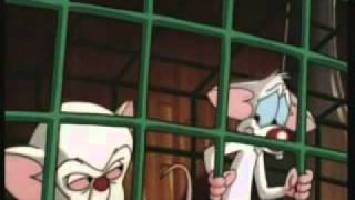 ⁣Pinky & Brain - Funny Clips 3