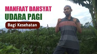 MANFAAT UDARA PAGI HARI