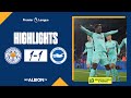 PL Highlights: Leicester 1 Albion 1