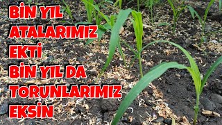 Bin Yıl Atalarımız Ekti, Bin Yıl da Torunlarımız Eksin