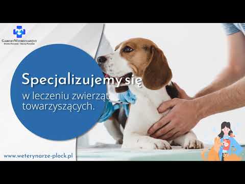 Wideo: Lekarz „przepisuje” psa na otyłego mężczyznę i ratuje jego życie