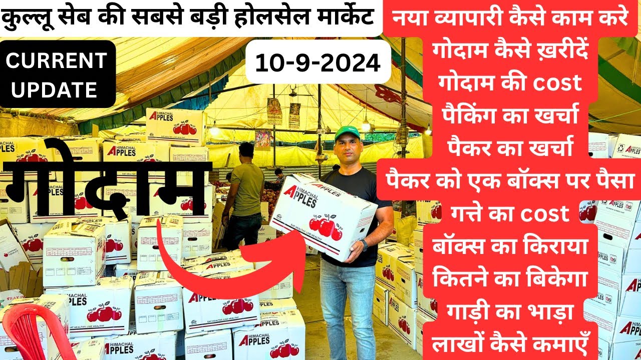 कुल्लू सेब की सबसे बड़ी होलसेल मार्केट🍎गोदाम का खर्चा, किराया, भाड़ा पूरी जानकारी के साथ🍎10-9-2024