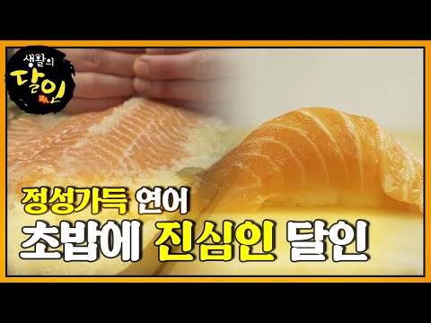 최고라고 해도 과언이 아닌 달인의 ‘연어 초밥’ㅣ생활의 달인(A <strong>Master</strong> Of Living)ㅣSBS <strong>Story</strong>