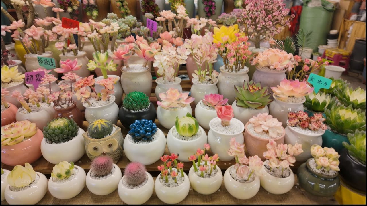 Посетите крупнейший цветочный рынок в Азии ночью — цветочный рынок Дунан в Куньмине, Юньнань, Китай.