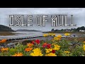 Isle of mull scotland