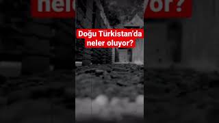 Doğu Türki̇standa Yapilanlara Sessi̇z Kalma Shorts