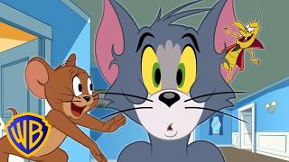Tom & Jerry em Português | O Problema do Carrapato do Tom | WB Kids