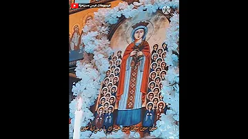 يا أميرة بين الشهيدات حالة واتس 