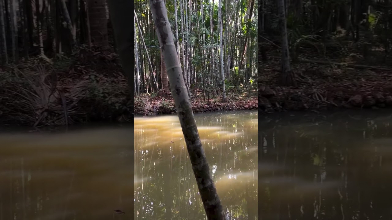 Best weekend getaway from Mumbai | Farmstay and Cottages in Sindhudurg, Maharashtra 