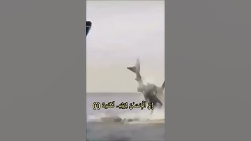 ﴿ان الانسان لربه لكنود...﴾بصوت القارئ الشيخ خالد الجليل #قران_كريم #خالد _الجليل