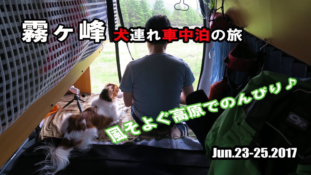 【風そよぐ車山肩】 霧ヶ峰 犬連れキャンピングカーの旅 　【車中泊】【LandTepee】