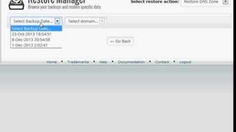 Restore Manager cPanel plugin - Restore DNS Records