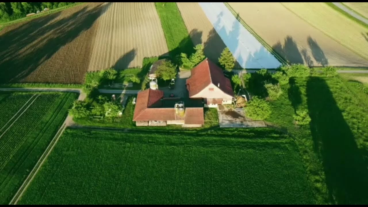 Wisler im Sommer | 2021